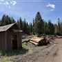 Webley Lumber