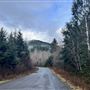 Sitkum-Sol Duc Rd