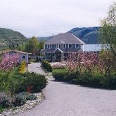 Blue Home Apple Orchard