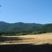 Gifford Pinchot National Forest