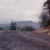 Grays Harbor ORV Park
