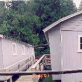 Camp 6 Logging Museum