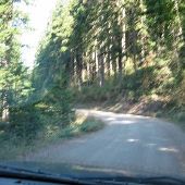 Mt Walker Forest Service Road