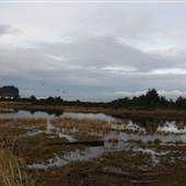 Crescent Bay - Saltwater Creek