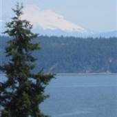 Highway 525 through Greenbank