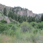 Pipestone Canyon