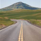 Steptoe Butte Wheat