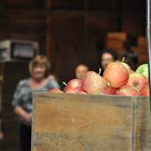 Stutzman Ranch/Orchard