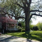 W.P. Sawyer House & Garden