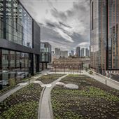 Seattle Convention Center -The Summit