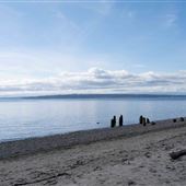 SALTWATER BEACH WITH COBBLES AND TRAINS - SOUTH SIDE