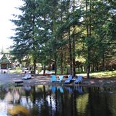 Tilley Road Property