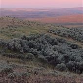 Marmel Coulee