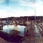 Bayview Marina