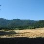 Gifford Pinchot National Forest