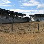 Rodeo Arena