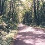 Moon Valley Road