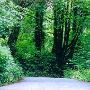 Dugway Road