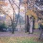 Tacoma City Parks