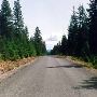 Teanaway Road