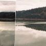 Alder Lake
