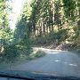 Mt Walker Forest Service Road