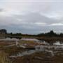 Crescent Bay - Saltwater Creek