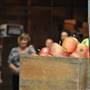Stutzman Ranch/Orchard