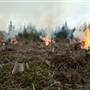 Forest Operations/Logging - Green Diamond Resource Co.