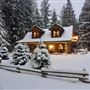Dodge Log Home