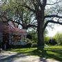W.P. Sawyer House & Garden