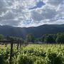 Glacier Peak Winery