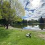 Pioneer Park
