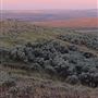 Marmel Coulee