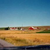 Pullman Wheat Farm