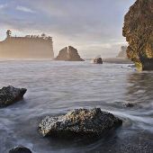 The Coast, Rain Forests, and Olympic Peninsula