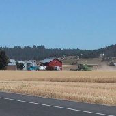 Spokane Region Farms