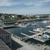 Port of Seattle Fisherman's Terminal