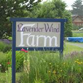 Lavender Wind Farm