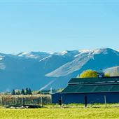 Scrumpy Orcahrd II LLC