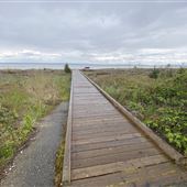 Bainbridge Island Beaches