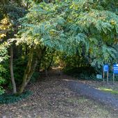 LOWER PARAMOUNT OPEN SPACE, WOODS, AND WETLANDS