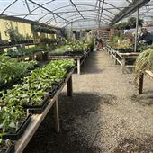 Hobart Farms Nursery