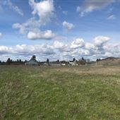 S. Mullinix Rd. Farm 21