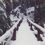 Asahel Curtis Trail