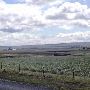 Centerville Highway
