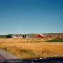 Pullman Wheat Farm