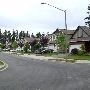 Maple Valley