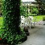 Ferneding Home