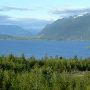 Lake Quinault